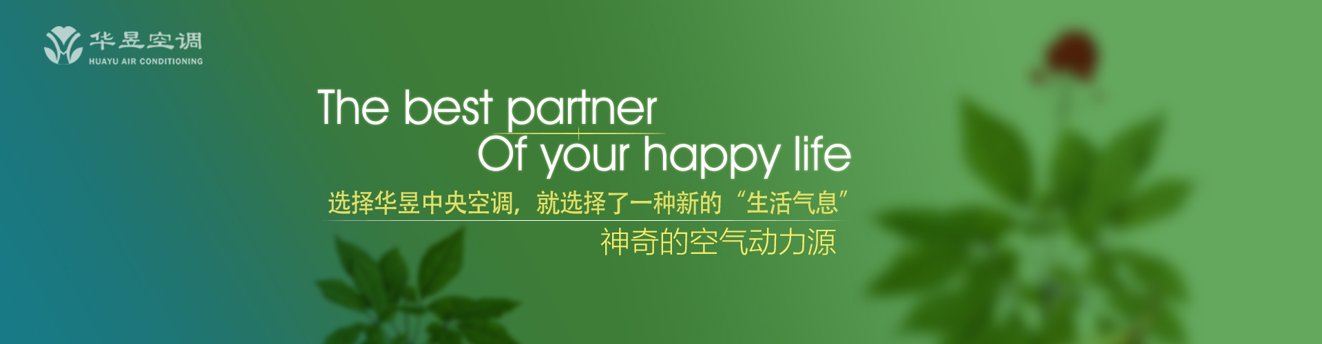 以书为御网